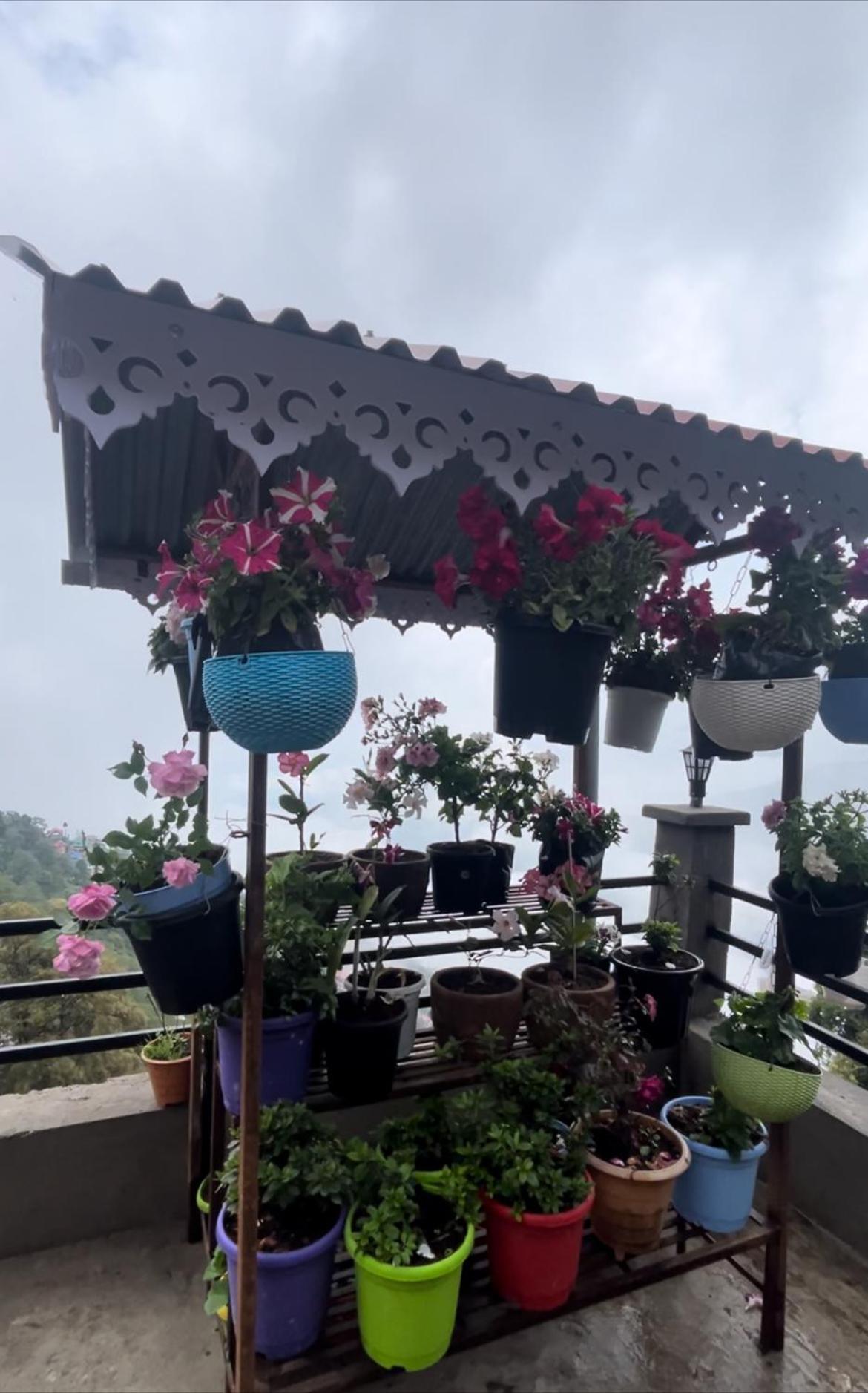 Shalom Inn Home Stay Дарджилинг Экстерьер фото